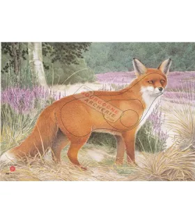 Blason JVD Renard