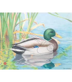 Blason JVD Canard