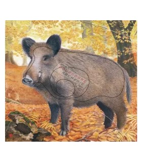 Blason JVD Sanglier