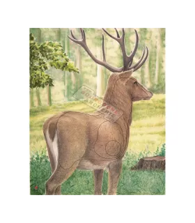 Blason JVD Cerf