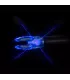 Pack de 3 encoches lumineuses universelles Nockturnal