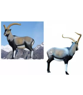 Cerf Couché SRT 