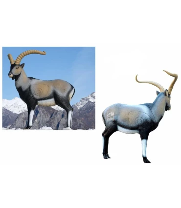 Cerf Couché SRT 