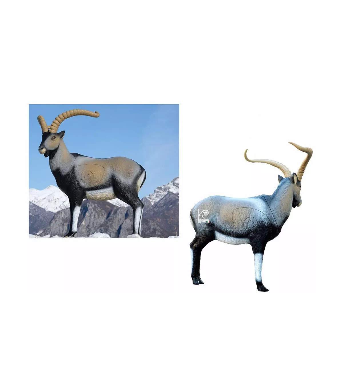 Cerf Couché SRT 