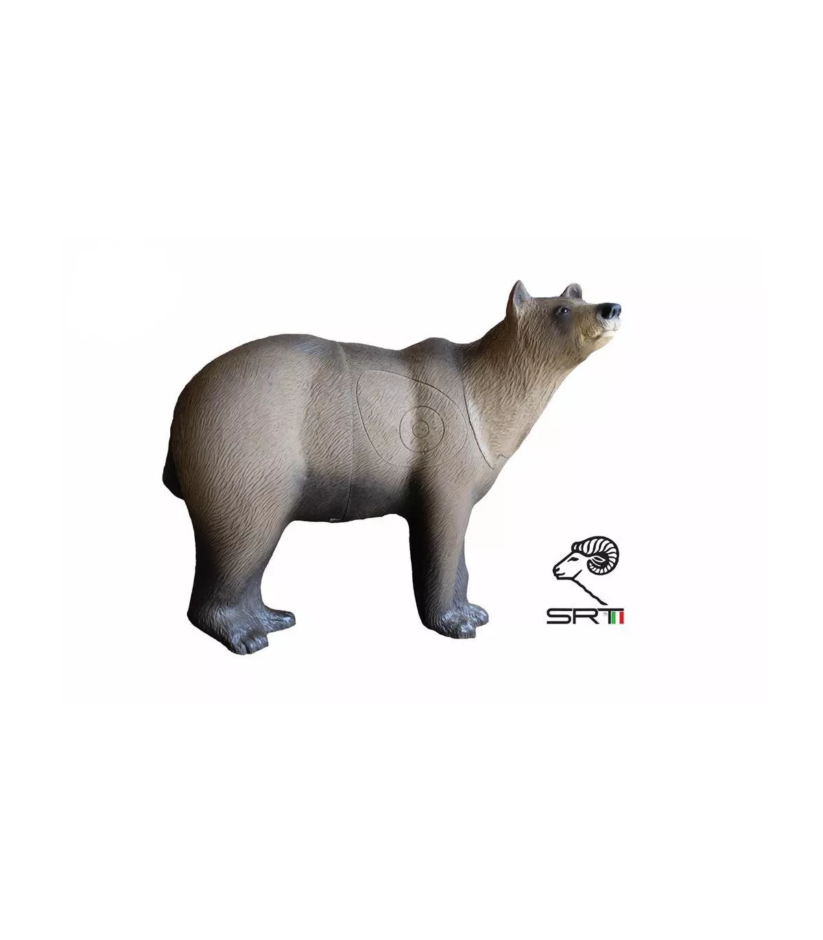 Cerf Couché SRT 