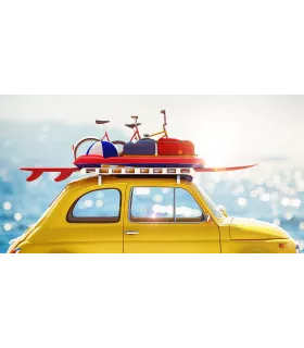 transport