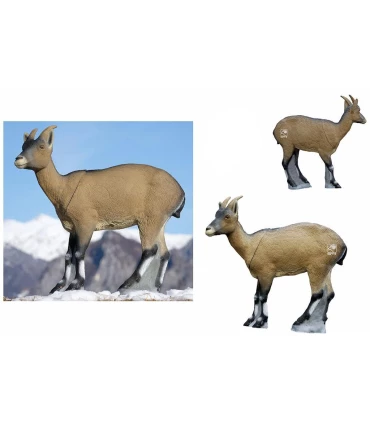 Cabra Montes Female SRT