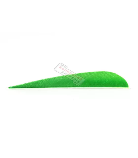 Plumes Naturelles Pour Flèches - Bouclier Gauche 3 Pouces Barré - Lot De 25