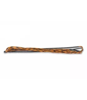 Corde Avalon Carrera 99R