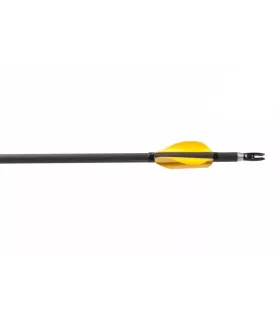 Sachet 50 plumes Spin Wing 2"