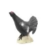 Coq de Bruyere SRT 