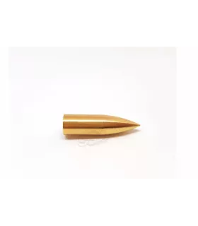 Pointe fut bois Tipping Point Archery Bullet Brass