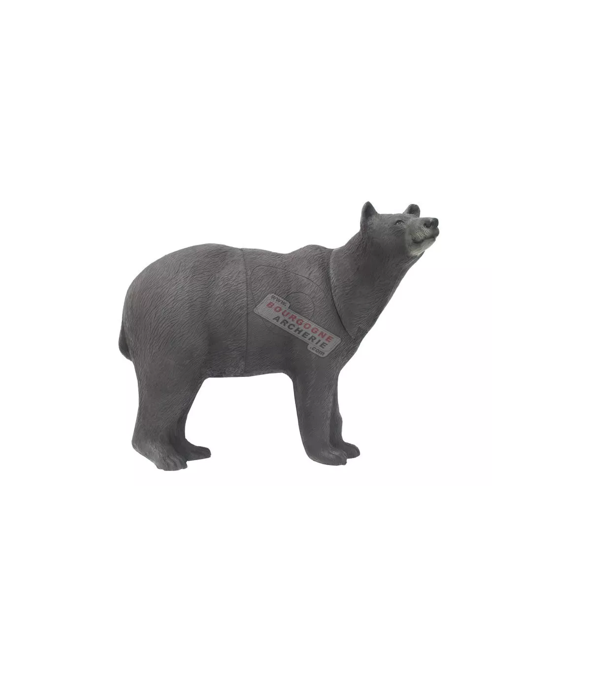 Ours Brun SRT 