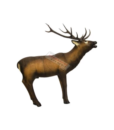 Grand Cerf SRT 