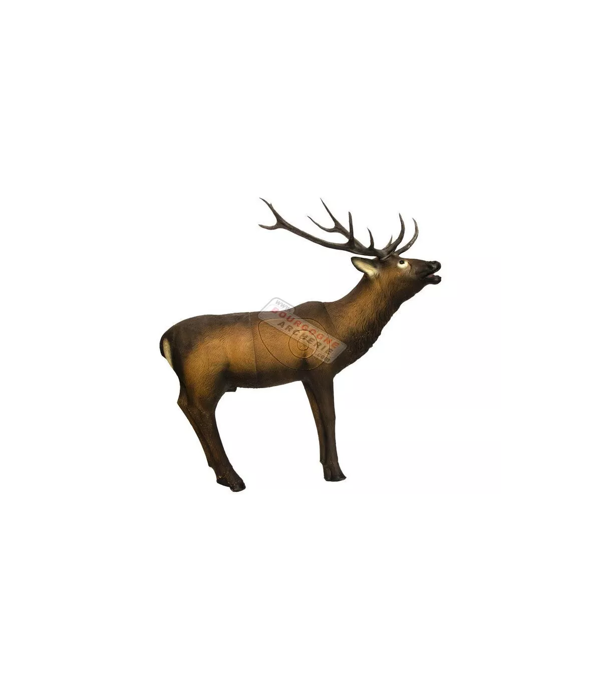 Grand Cerf SRT 