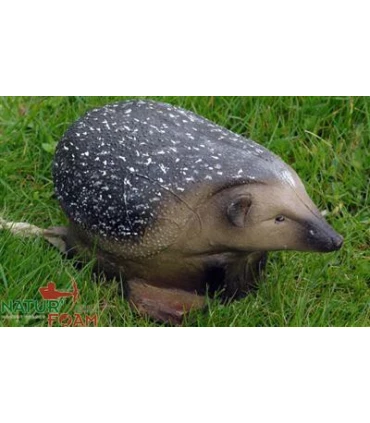 Hérisson Nature Foam