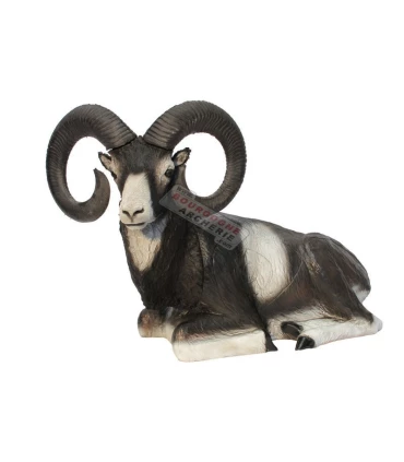 Mouflon Couché SRT 