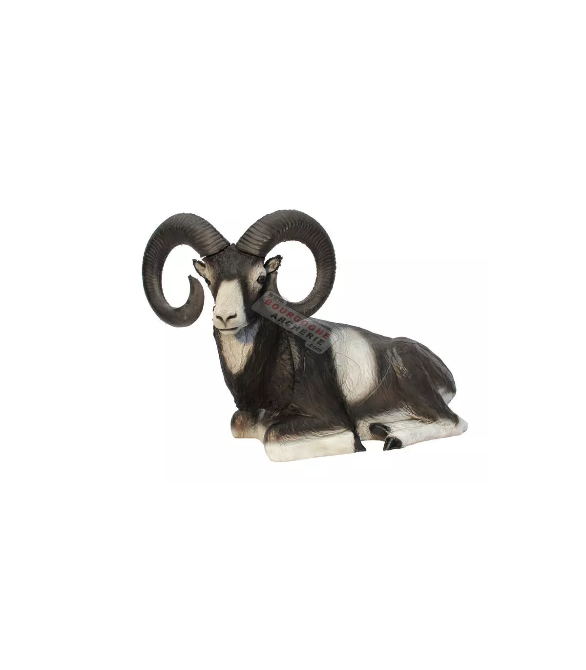Mouflon Couché SRT 