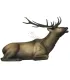 Cerf Couché SRT 