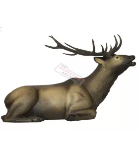 Cerf Couché SRT 