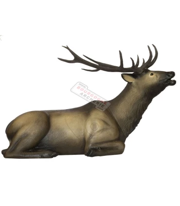 Cerf Couché SRT 