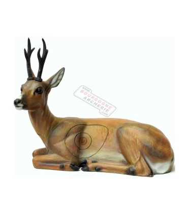 Chevreuil Couché SRT 