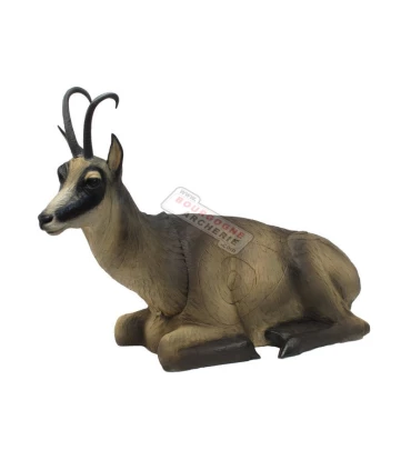 Chamoisl Couché SRT 