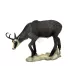Chamois VSE Grazing SRT 