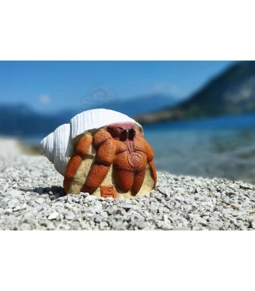 Bernard L'hermite 3D International