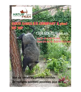 Gros Sanglier Grimpant