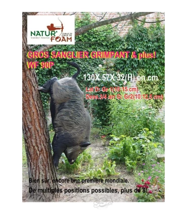 Gros Sanglier Grimpant