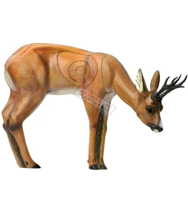 Chevreuil Grazing SRT 