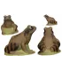 Grenouille 3DI Frog
