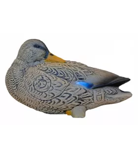 Cannard 3DI Duck