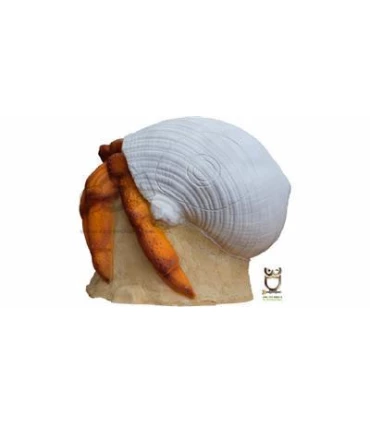 Bernard L'hermite 3DI Hermit Crab