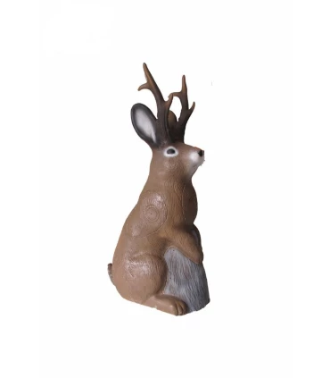 Bernard L'hermite 3DI Hermit Crab