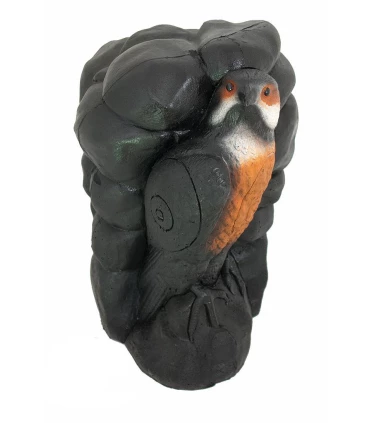 Faucon Wild Life Falcon