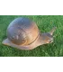 Escargot Wild Life Snail