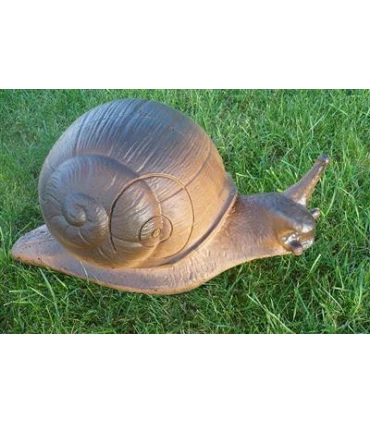 Escargot Wild Life Snail