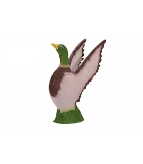 Canard Beier Duck Take-Off