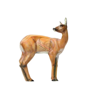 Chevreuil tete vers l'arrière SRT 