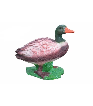 Canard Mâle Beier Duck Male