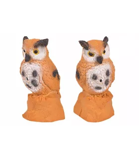 Chouette Beier Owl