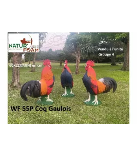 Coq Gaulois Natur Foam
