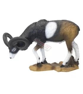 Mouflon VSE tête basse SRT 