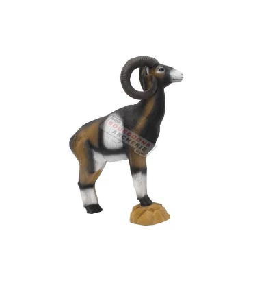 Mouflon corse SRT 