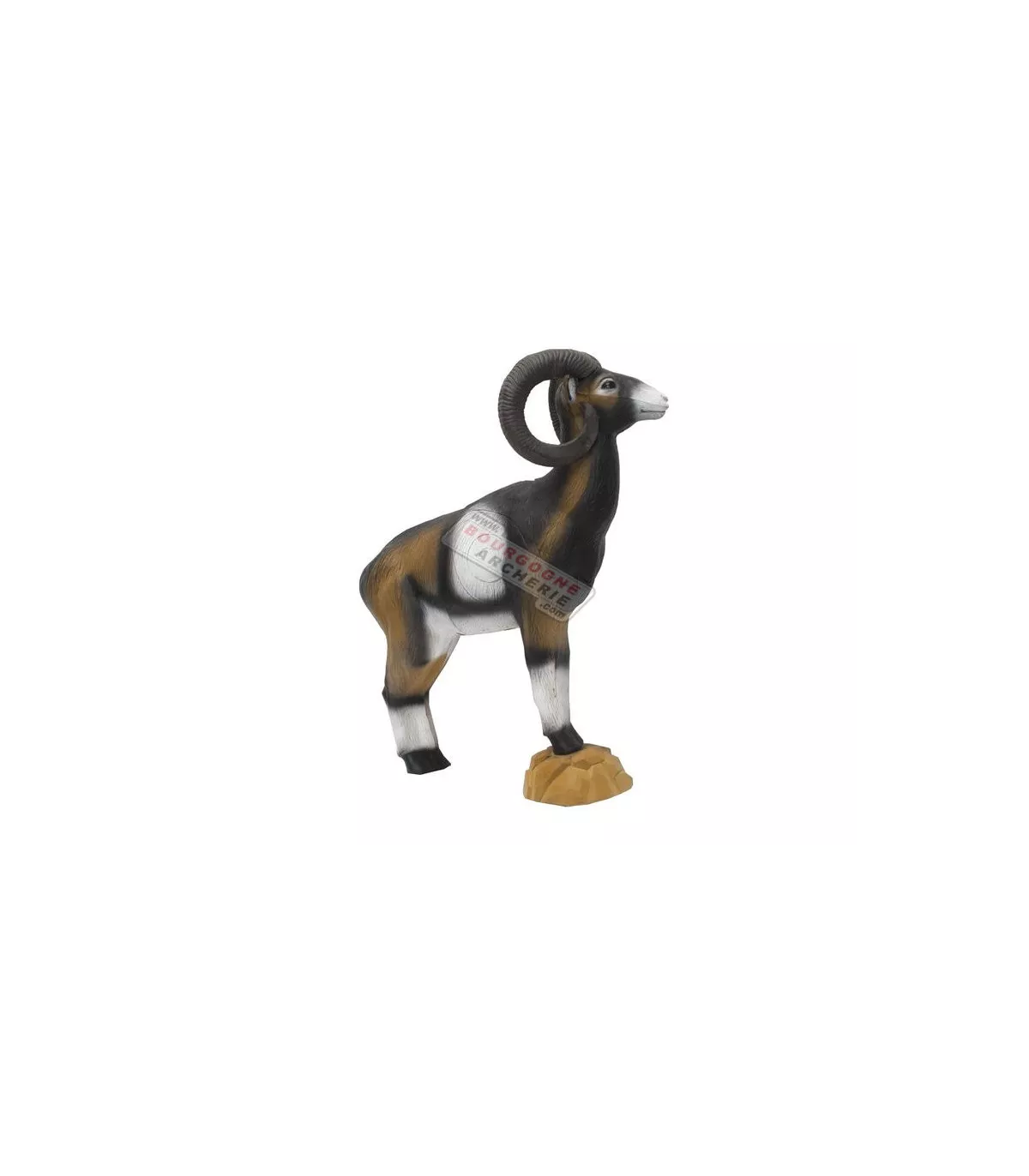 Mouflon corse SRT 