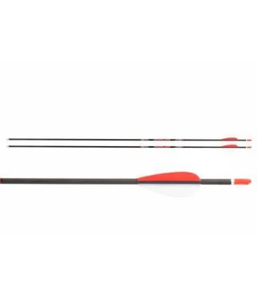 Flèche Initiation Avalon TYRO