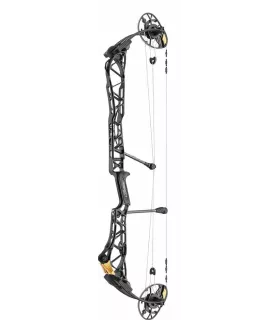 Mathews TITLE 38