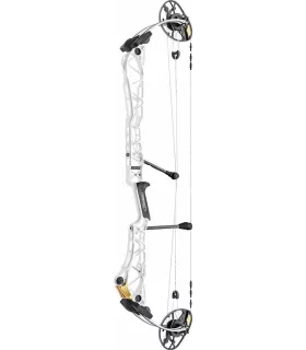 Mathews TITLE 38